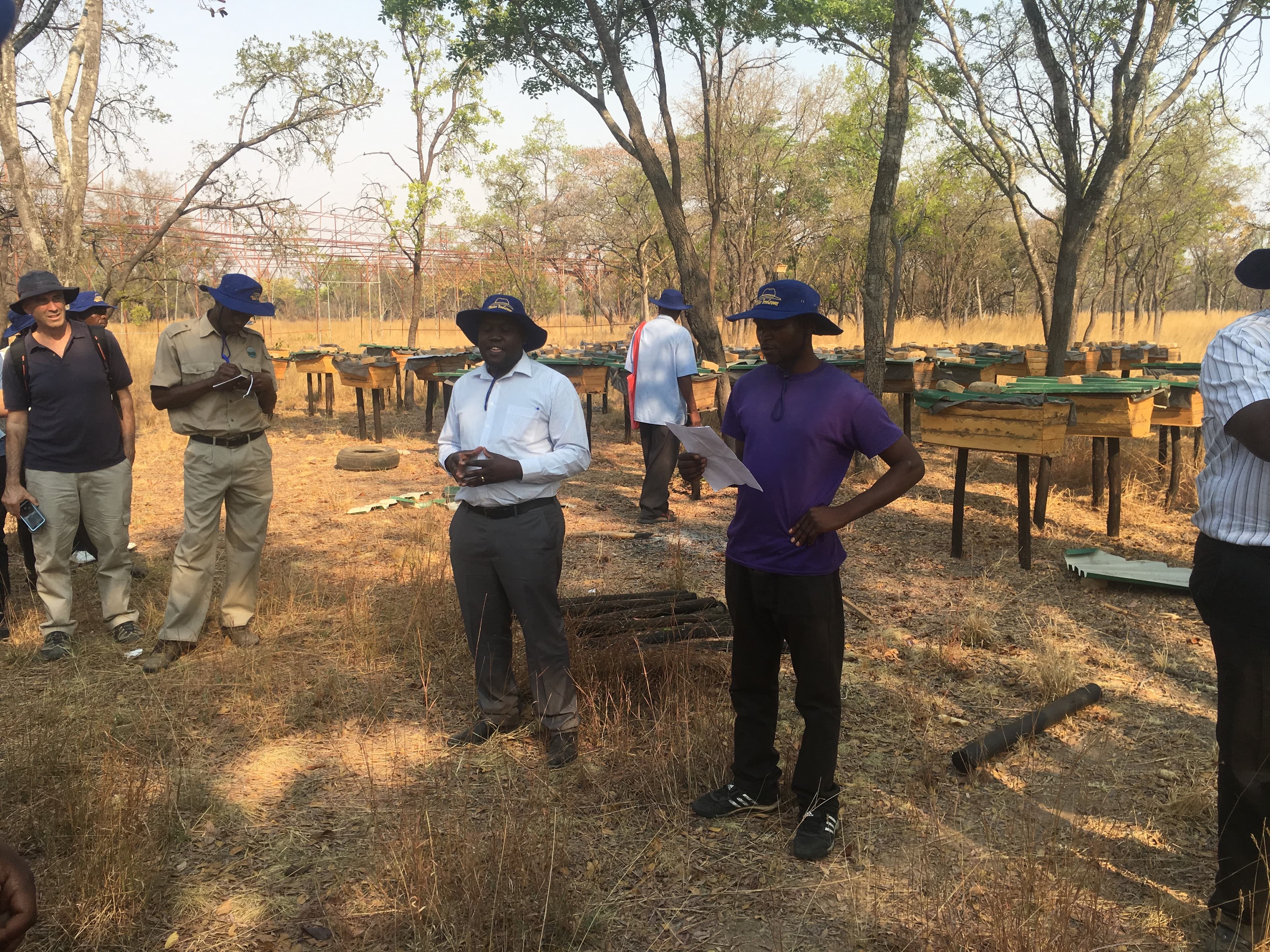 Apiaries (Bee Keeping)