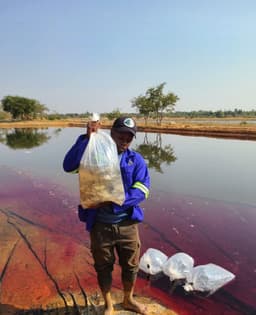 Fish Ponds