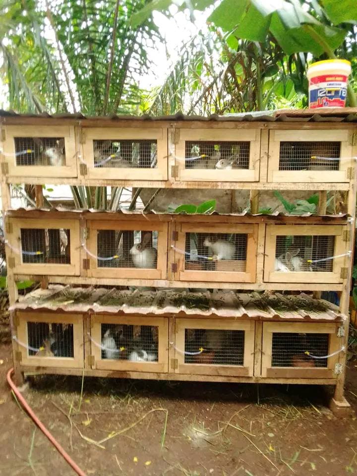 Small Livestock Farming